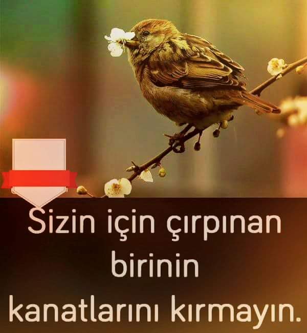 ogretmen_nesli's tweet image. #SanaMuhtacım