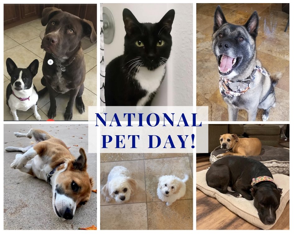 Futureforkids's tweet image. We love our 4 legged friends as much as our 2 legged friends! Happy #NationalPetDay!! 🐶🐱🐾