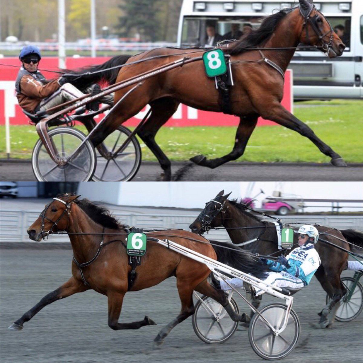 TeamStableEye's tweet photo. Den ena på väg mot Elitloppet och den andra till plötslig avel. Livet som travare går ibland snabbt i motvarv.
#DoubleExposure #CallmeKeeper @StallZet https://t.co/zmrxOKWh9Z