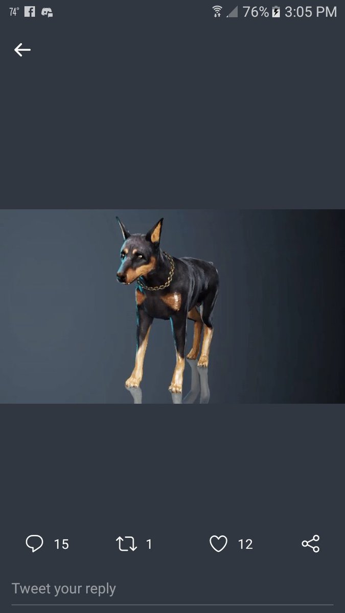 OhSonOfObama's tweet photo. @PlayBlackDesert If I had one, I'd name him DoobieDoo. https://t.co/V6kDRDqm45