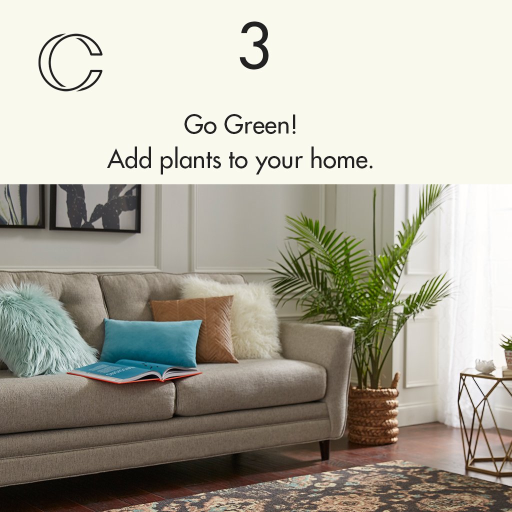 CBSurfaces's tweet image. Here are some Interior Design Tips to get you started towards your dream home!
Go to coveredbyrugs.com for more

#diy #diyinteriordesign #interiordesign #homedecor #homedecordiy #livingroomdesign #livingroomdiy #homediy #interiordesigntips #interiordesigntricks #homedesign