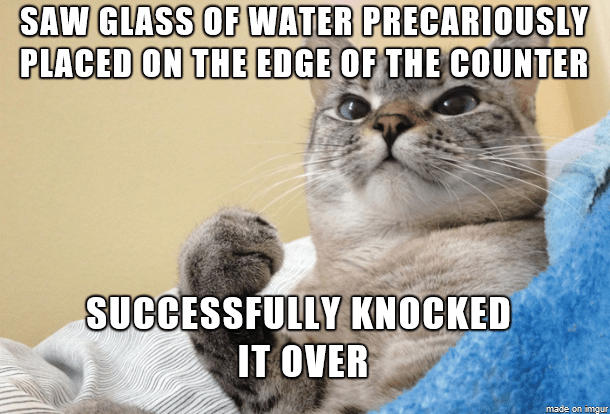 What exactly do #cats have against cups?! 😹

#petday #nationalpetday #pet #pets #animallover #cute #cat #catsoftwitter
