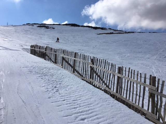 Stunning conditions today at <a href="/glencoemountain/">Glencoe Mountain Resort</a> and more of the same is forecast tomorrow. #ski #snowboard #glencoe