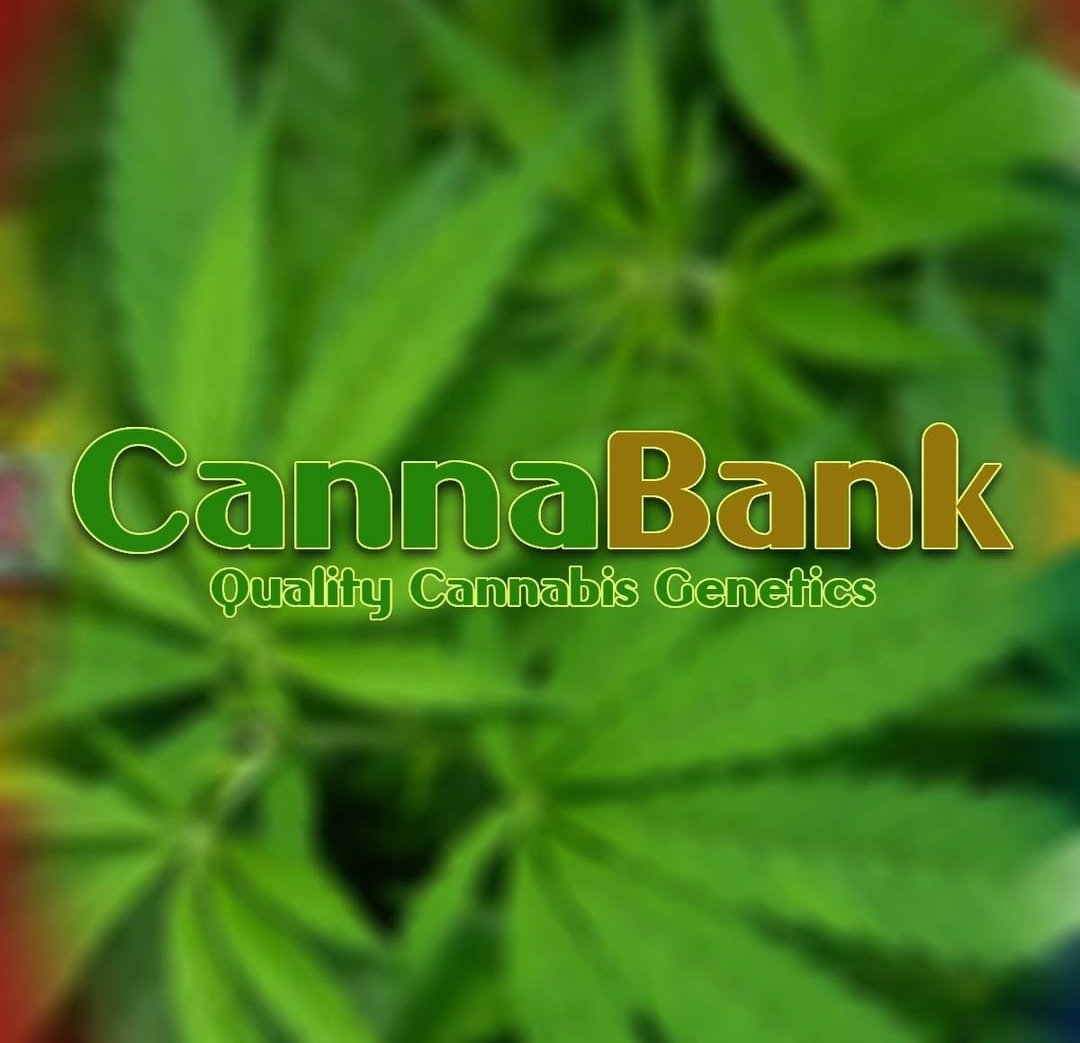 Cannabank is listed on our Directory findacannabiz.co.za
💚
#cannabismarketing #cannabisdirectory #cannabiscommunity #cannabissociety #cannabiz #freemarketing #freeseo #cannabisindustry #cannabissouthafrica #capetown #gauteng #durban #southafrica #cannabisbusiness