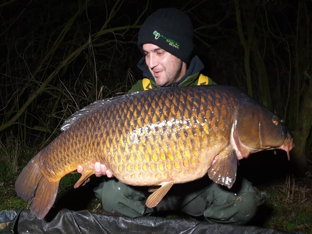 Northeastbaits2's tweet photo. Lee ward banks FLOPPY TAIL 
watching the fish in an area where people were already fishing I got my chance to move for my last night &amp; it paid off massively bagging 1 of the A Team the Floppy Tail Common @ 33lb 8oz
White PCB pop up over a bed of Irish nut
#qualitybaitsmoretakes https://t.co/5iVsH9Ntq8