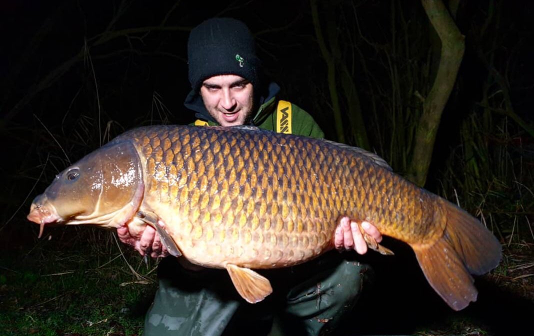 Northeastbaits2's tweet photo. Lee ward banks FLOPPY TAIL 
watching the fish in an area where people were already fishing I got my chance to move for my last night &amp; it paid off massively bagging 1 of the A Team the Floppy Tail Common @ 33lb 8oz
White PCB pop up over a bed of Irish nut
#qualitybaitsmoretakes https://t.co/5iVsH9Ntq8
