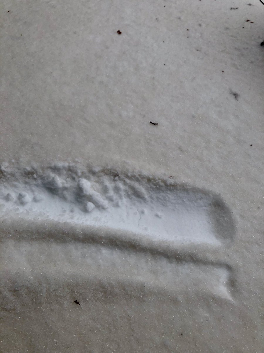 flyaway3's tweet photo. @FOX9 @FOX9 can you tell me why the snow is white but the hail is brown? https://t.co/GycJRXoYYI
