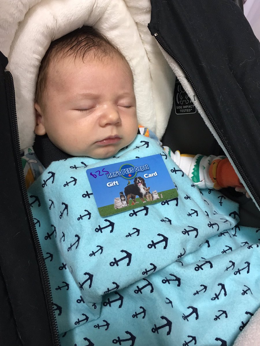 915theBeat's tweet photo. How CUTE is he?! This little guy just won a $25 gift card to @RENSPETS 🐶🐱 
You can too by visiting us on #VictoriaSt https://t.co/KCrhgfZb4E
