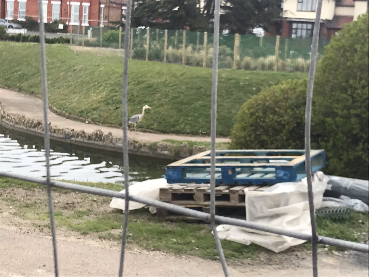 PeggGeorge's tweet photo. Had a lovely day in Great Yarmouth and a lovely lunch in @MunchiesGy! #greatyarmouth #munchies #baconcheeseburger #chips #tomatoketchup #lattes #orangetango #dogwalk #twister #icecream #turbines #sea #beach #watergardens #maintenancework #heron #windmills #sanddunes https://t.co/Bp9aXBONNQ