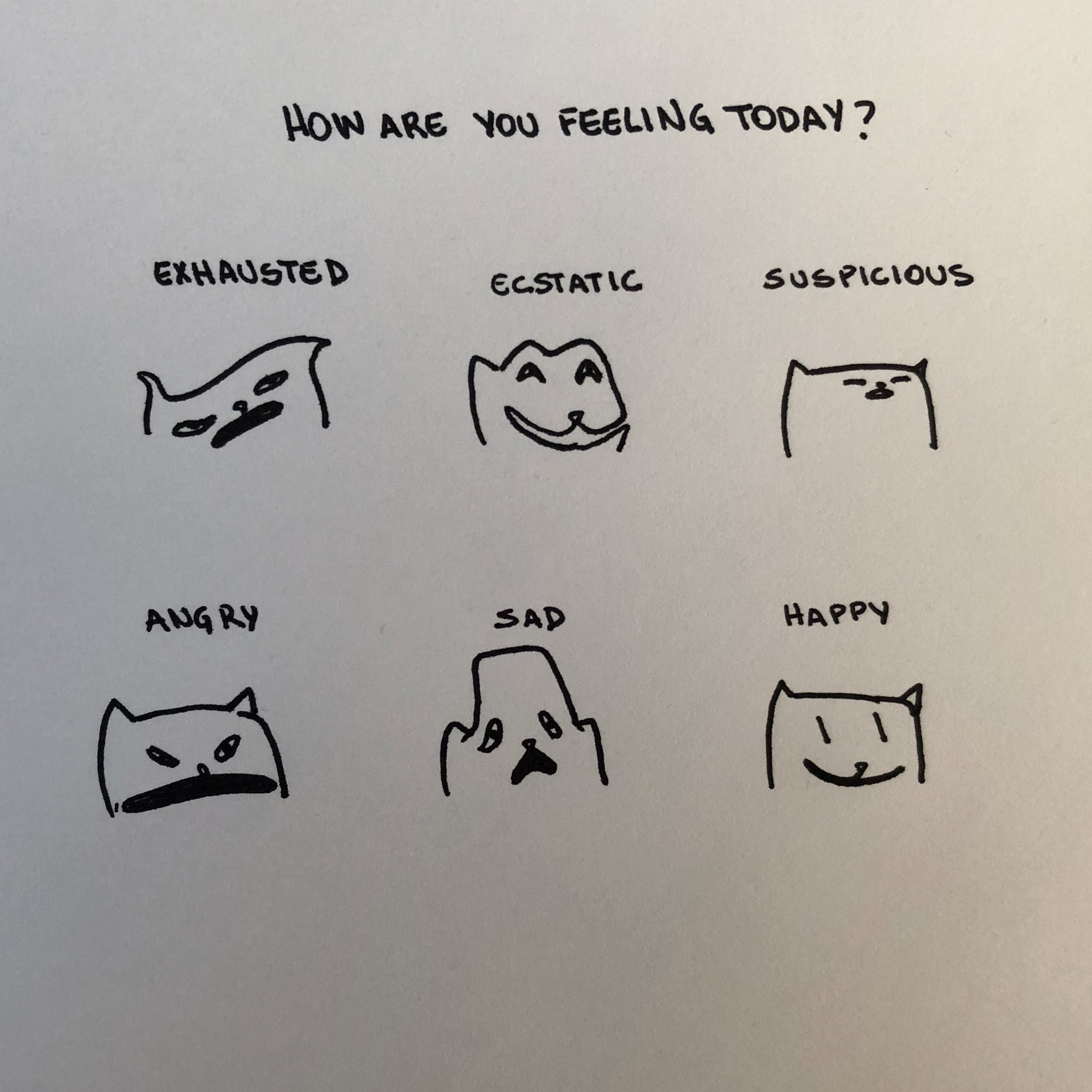 poorly drawn cats on Twitter