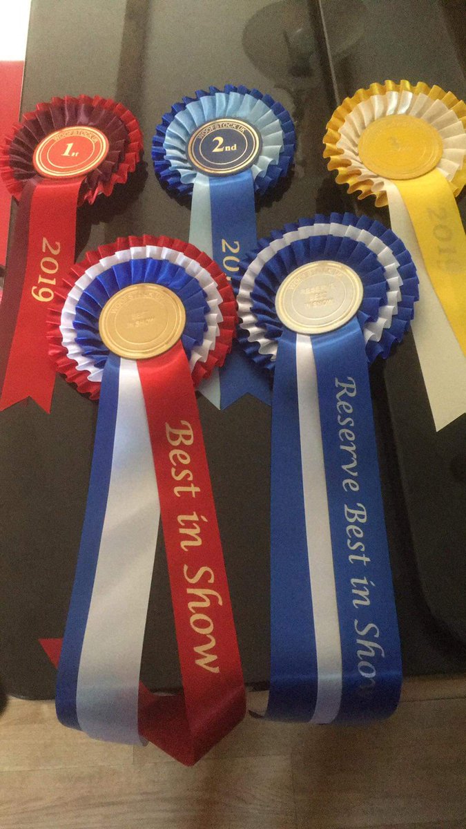 woofstockuk's tweet image. Woohooooooooo they have arrived. Now to finalise the new design of the bespoke #woofstockukglass trophies from @Studio56fg #festivalbydogsfordogs #woofstockuk2019