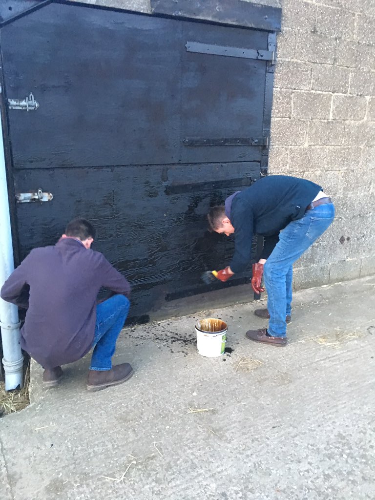 LBYFCblog's tweet photo. Painting at the rally site this evening! @BedsYFC #lbyfc #tidyup https://t.co/3NzLuHJpOY