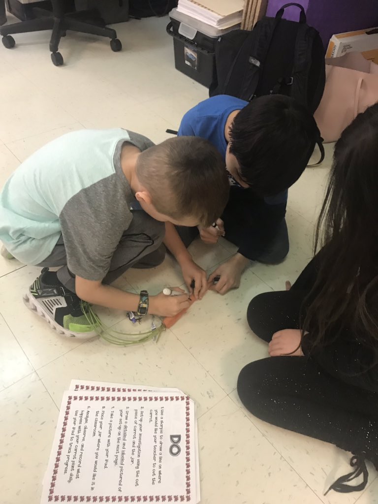 Weier_Jarrell's tweet photo. Our second graders are being wonderful scientists by investigating what a carrot needs in order to grow! https://t.co/RB6yYm2ZyF