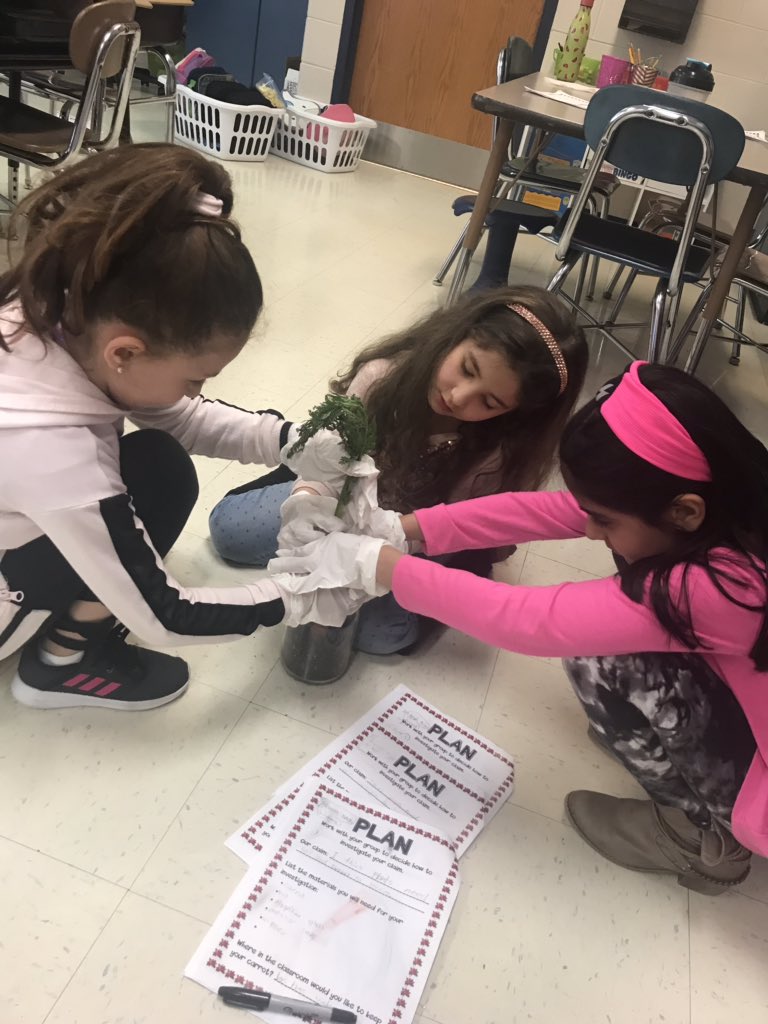 Weier_Jarrell's tweet photo. Our second graders are being wonderful scientists by investigating what a carrot needs in order to grow! https://t.co/RB6yYm2ZyF