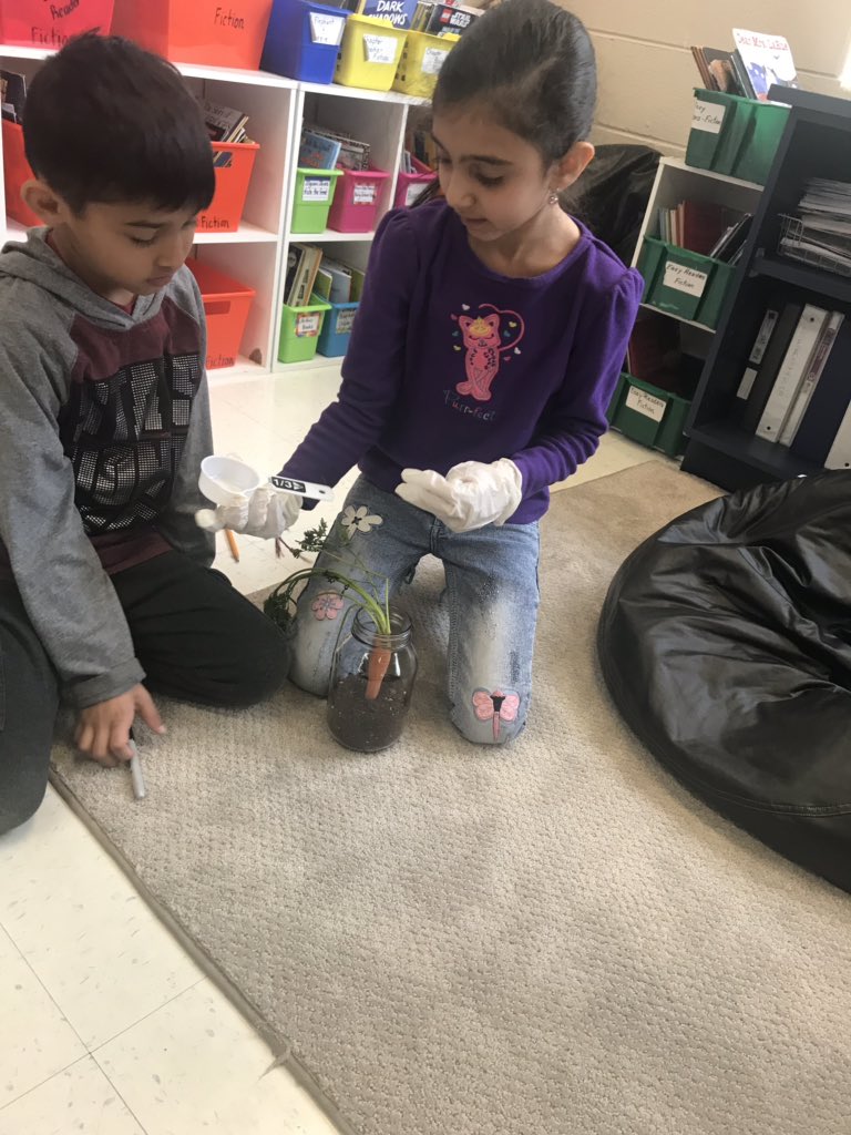 Weier_Jarrell's tweet photo. Our second graders are being wonderful scientists by investigating what a carrot needs in order to grow! https://t.co/RB6yYm2ZyF