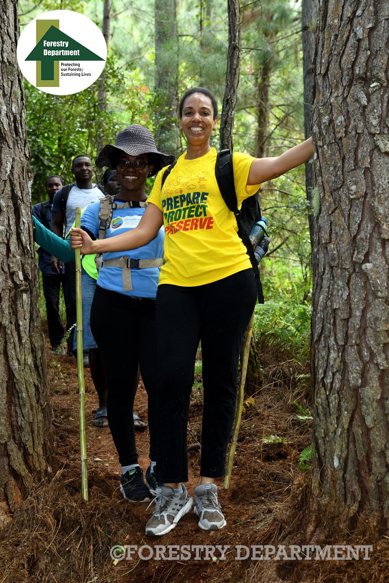ForestryDeptJa's tweet image. Throwing it back to the best hiking experience of 2019!

We sure had a great time!
...
#ForestryDeptJa
#ForestTrek2019
#BestHikingExperience
#Throwback
#TBT