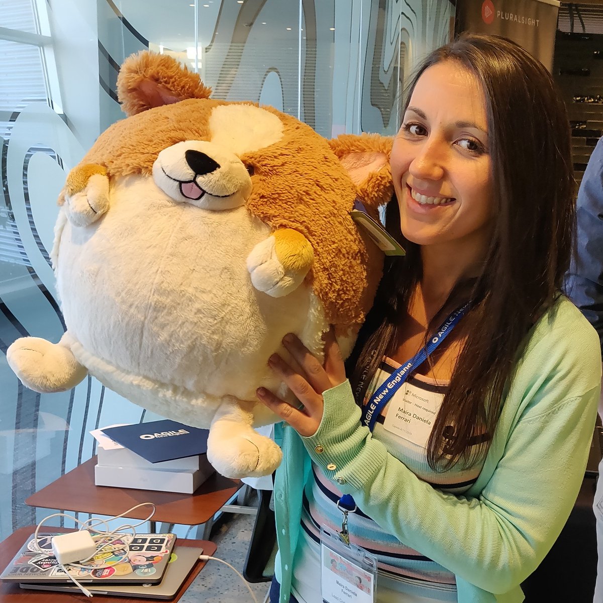 mferrarid's tweet image. #MobProgramming2019 #corgibytes #corgi