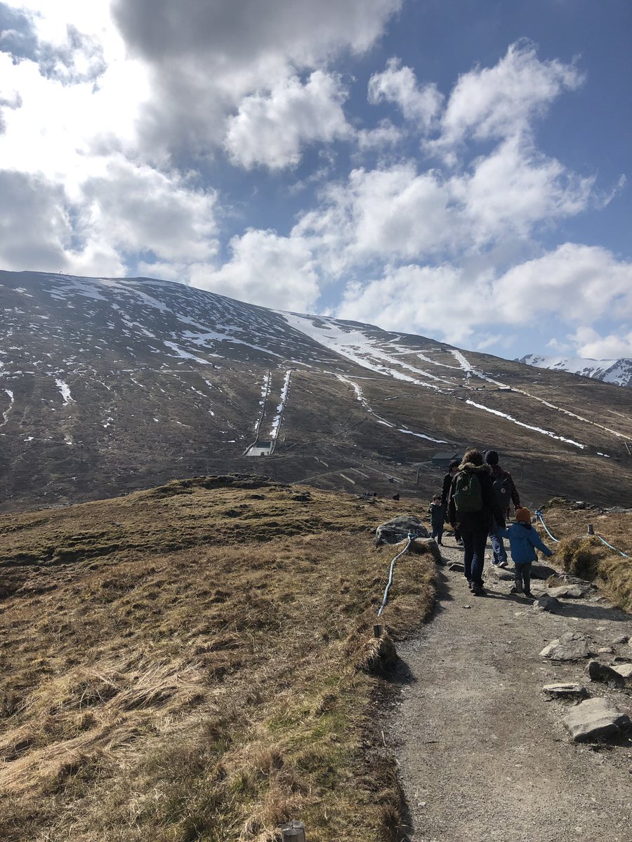 Nick Laing tweet media