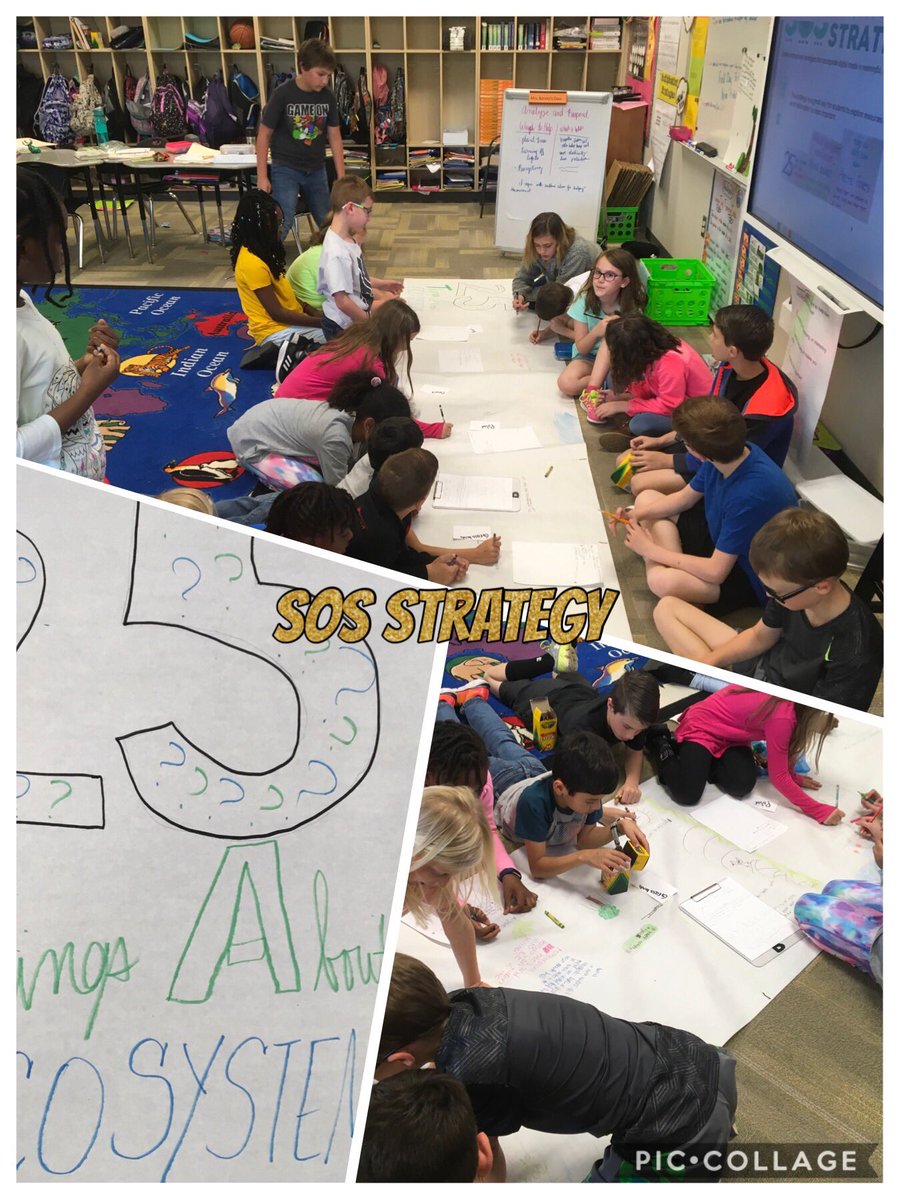 MrsJBarney's tweet photo. 25 Things You Didn’t Know About.... Ecosystems #5Cs #SOSattheBridge @bethebridgeDBES #DragonsCreate #LoveMySchoolDay @ECKEdConsulting 💛🖤💛🖤 https://t.co/G5V02Hiv6e