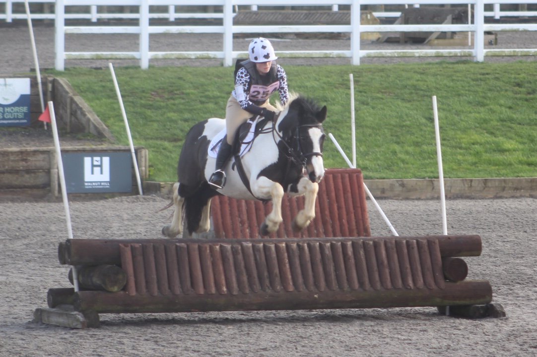 pebzz's tweet photo. Catch up on the recent exploits of our sponsored eventer Maddy, with Few Scoops and Rosie.
#eventing #showjumping #dressage #xcountry #scoops #rosie 
#MadelineWeston #MadelineWestonShowjumping https://t.co/x9ABGezFcZ