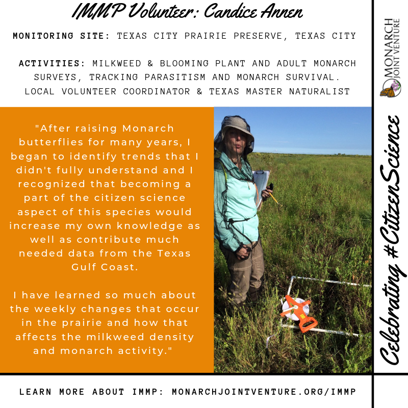 MonarchsJV's tweet photo. We're celebrating #CitizenScienceDay this week by featuring a few amazing IMMP volunteers!
Christine and Candice are fellow TX #MasterNaturalists, and teamed up to become IMMP Local Coordinators together! Finding a partner is a great way to get involved: https://t.co/RmnlOWw9qa https://t.co/2qJwdDEQ0t