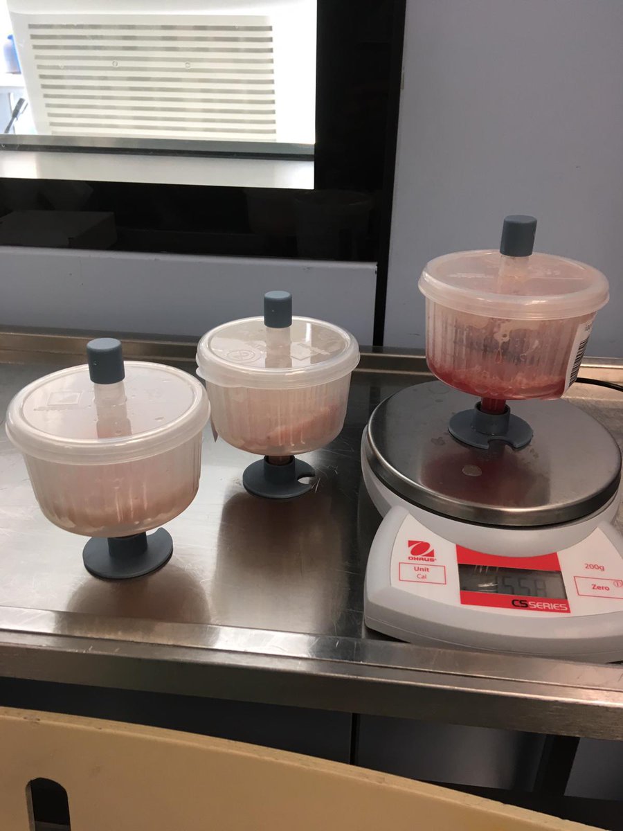 Johannes Salem tweet media