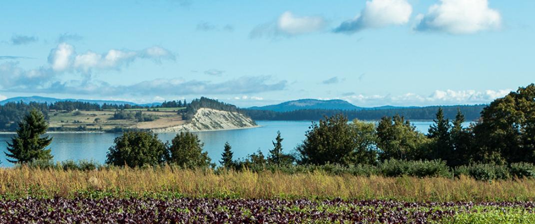 From #VancouverIsland to #Cariboo to the #NorthCoast - learn about #BC's regions and the foods they produce here: ow.ly/h2aY30oojxc