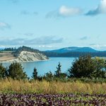 Photo by We Heart Local BC (@WeHeartLocalBC)