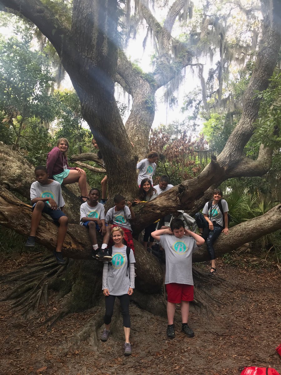 selleckb's tweet photo. 250 year old live oak #jekyll2019 https://t.co/1uKy4s6ccg