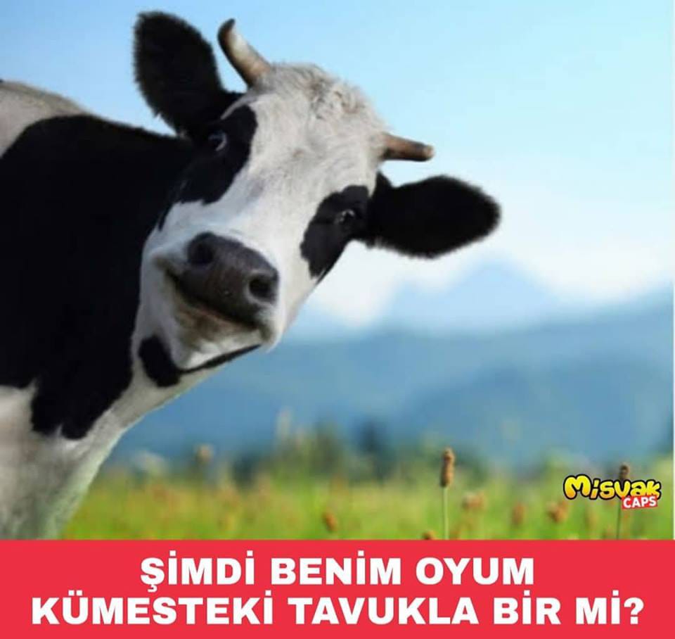 C_Turk_'s tweet photo. Yazısız..:))

#FatihErbakan https://t.co/FfAGVWhWwD
