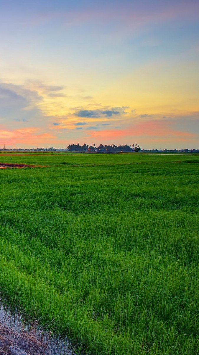 BB1177117505's tweet photo. Beauty as far as the eye can see. #beautifulfields https://t.co/3hUTQqmpp4