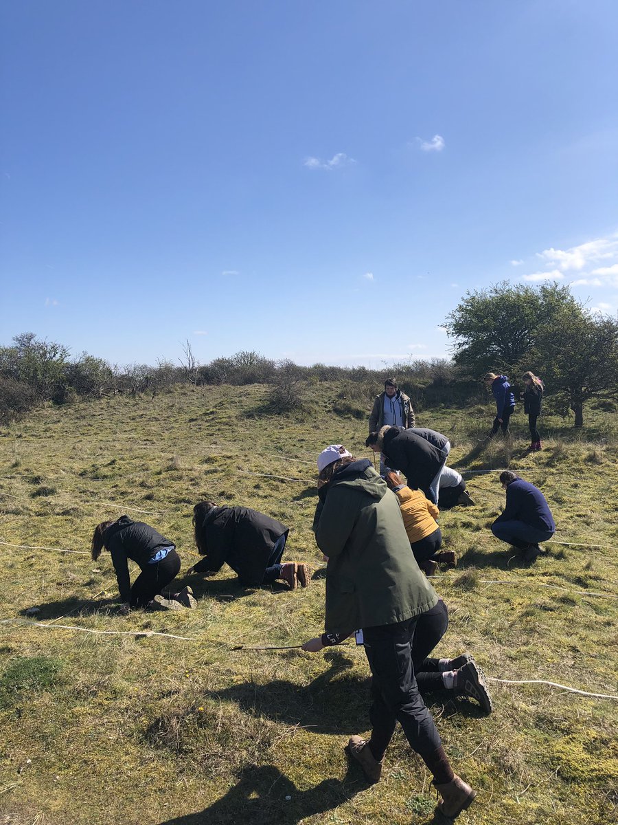 guaduneth's tweet photo. Amazing week in #GibraltarPoint collecting data and mapping bird behaviours, vegetation in sand dunes and rabbit activity. Proud of my #GIS students #IntegratedProject https://t.co/Hm64BwcTBi