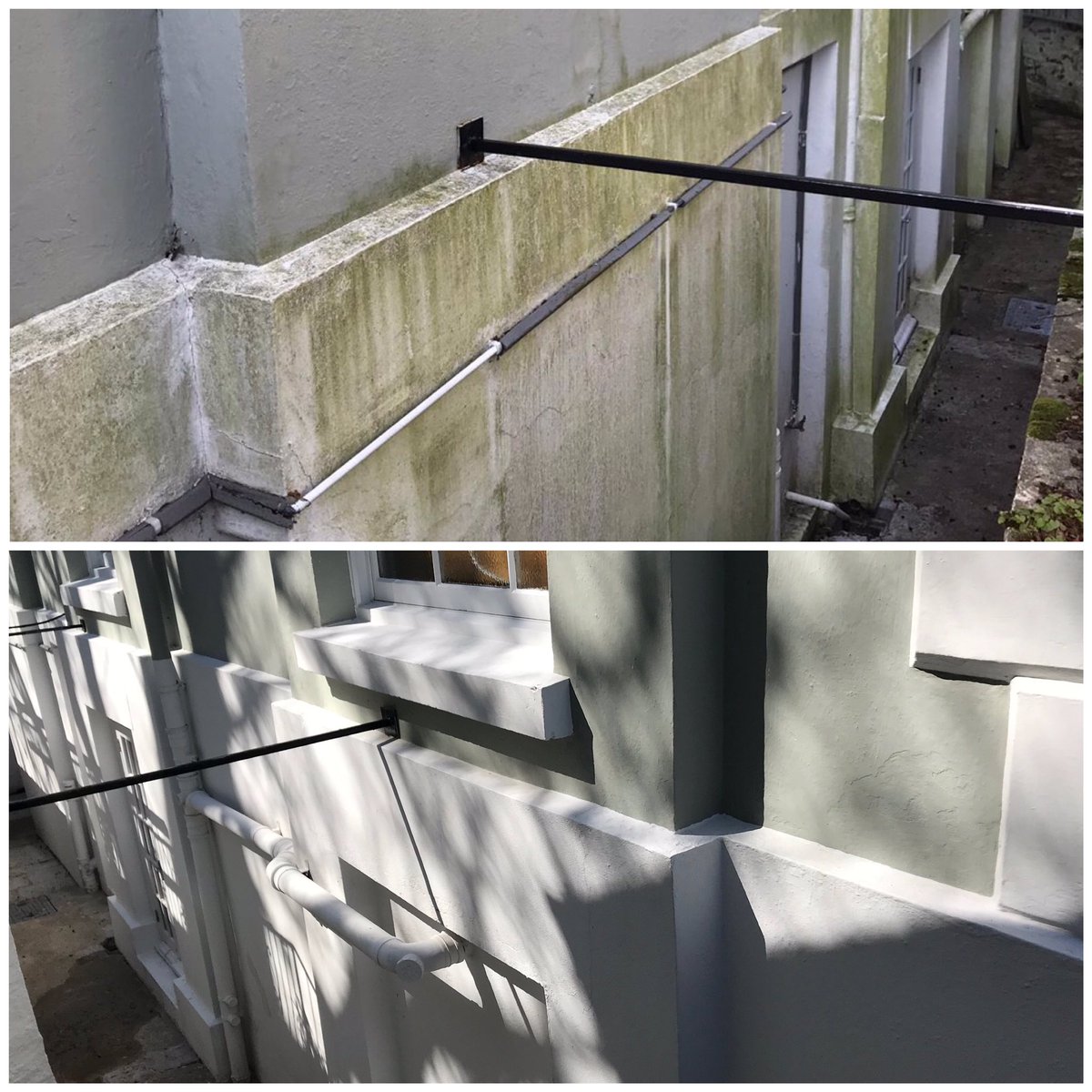 ClearCleanPlym's tweet image. Organic growth removal #treatment #algae #lowpressure cleaning #Softwashing #biocide #steam #exterior cleaning #commercial #Domestic #devon #cornwall