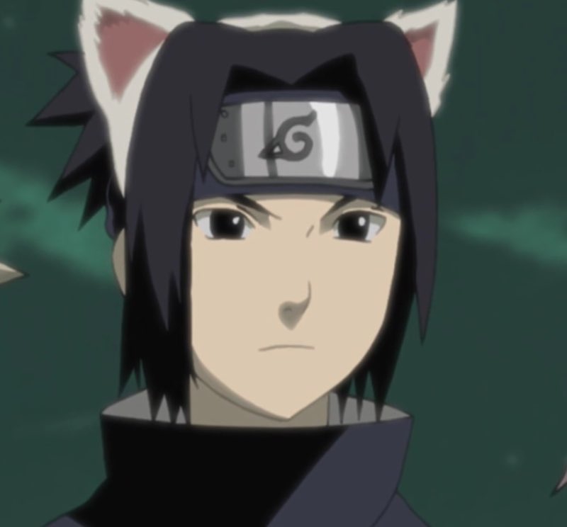 D35wBq5XkAExxUw.jpg:large