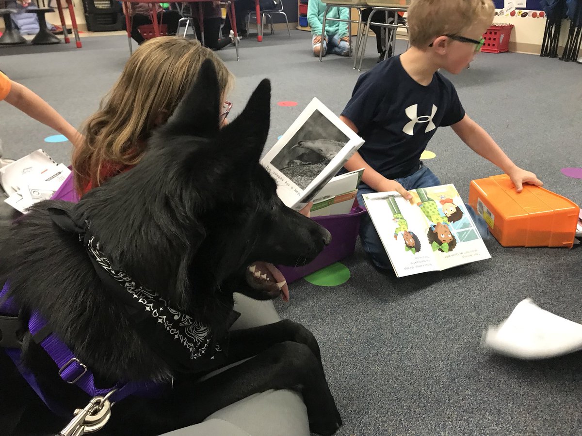 GoldsbyTeam's tweet photo. Our Puppy in Training Therapy Dog, Bruce, came to visit the class today! #Why305 #firstgraderocks #therapydog https://t.co/dK1y5HtO3x