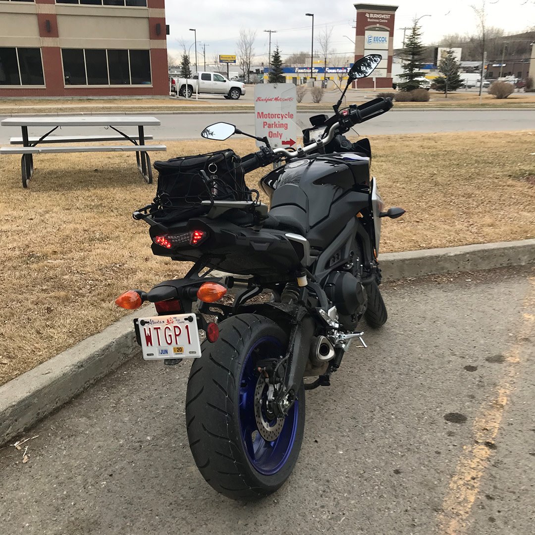 YamahaMotorCa's tweet photo. When you're Yamaha's World Tech GP champion, you can only name your license plate accordingly. #WTGP1 @bhitmanh
#Tracer900GT #ConquerRoad https://t.co/BTLnW6Tomz