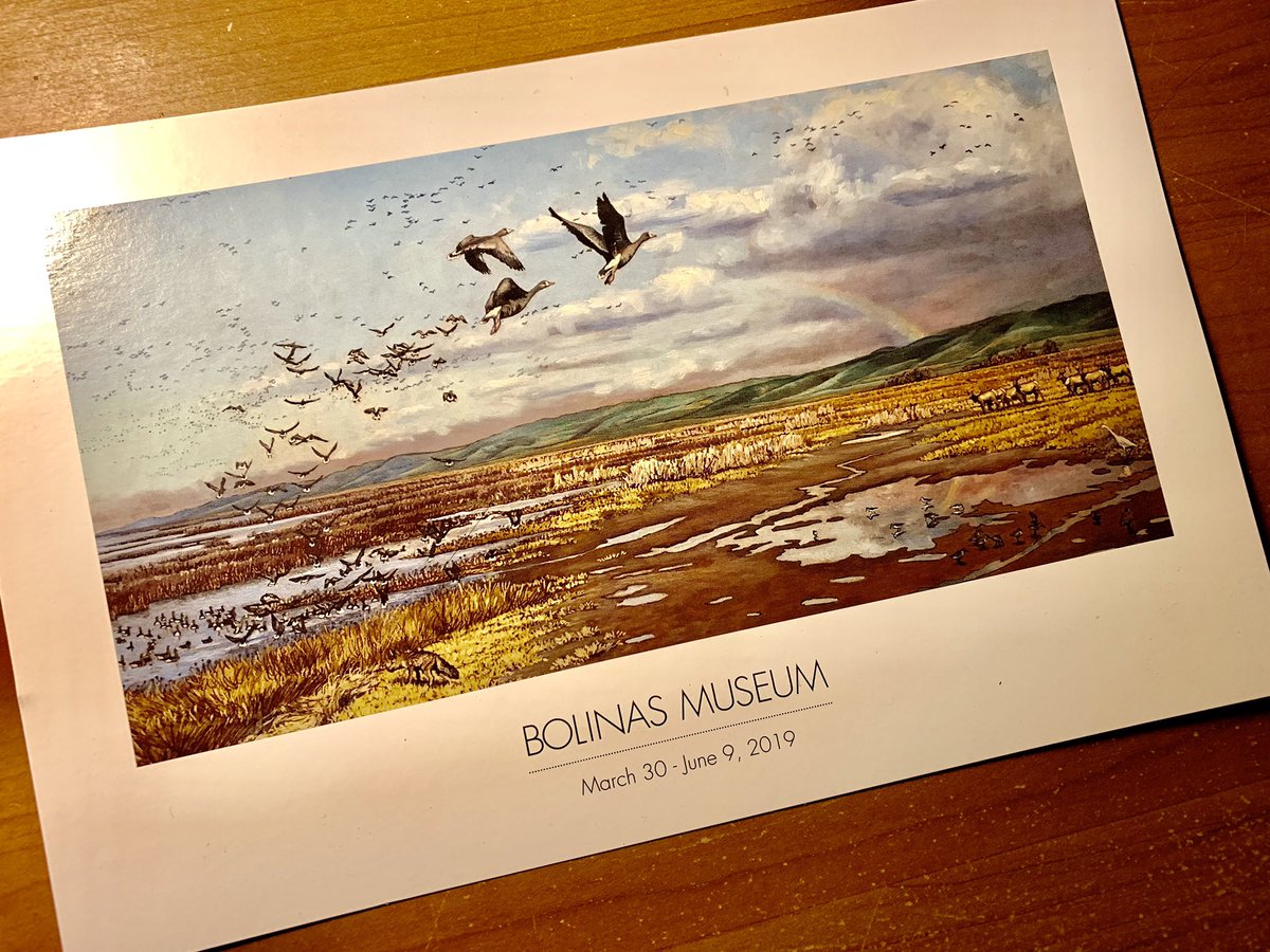 PaleoLaura's tweet photo. My Bay Area #scicomm #art show at Bolinas Museum: I will be giving presentation on #California #history of wildlife and landscapes Sunday at 2pm. Free talk on restoring wildlife and native coastal #grasslands! #SaveTheElk https://t.co/HIJvFyPqSH