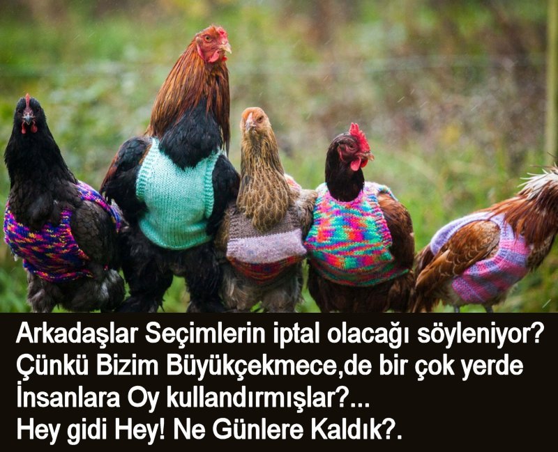 C_Turk_'s tweet photo. 😂🤣😂🤣😂🤣 ;
#AdilBirDünyaya
#OylarıSaymayınEYTyiSayın
#birgariplikvar
#FatihErbakan
YSK'nındır
#BuGeceBen
#SanaMuhtacım https://t.co/vvojqLuZwK