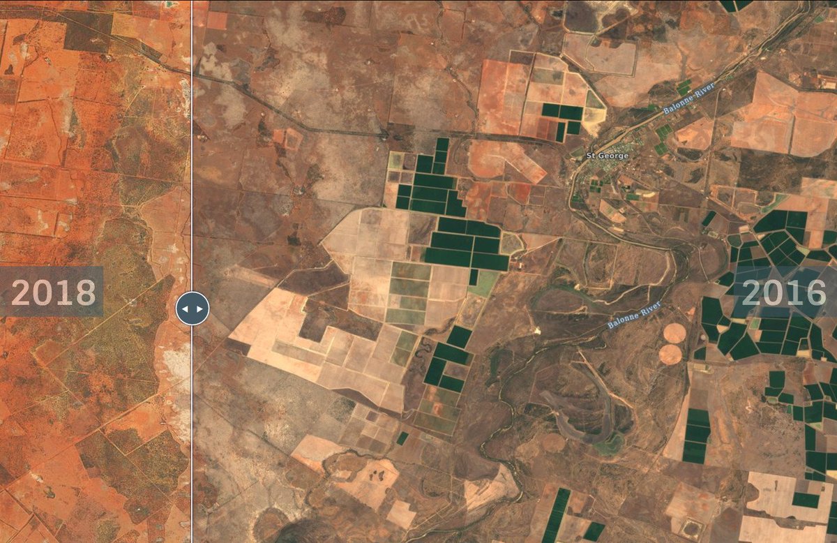 Here's Kia Ora's cotton crop in 2015-16 (left) and 2017-18 (right). The property has other water rights; it does not (did not*) rely entirely on 'flood plain harvested' water.(* You'd hope the past tense applies.)(Via:  https://s2maps.eu/ )