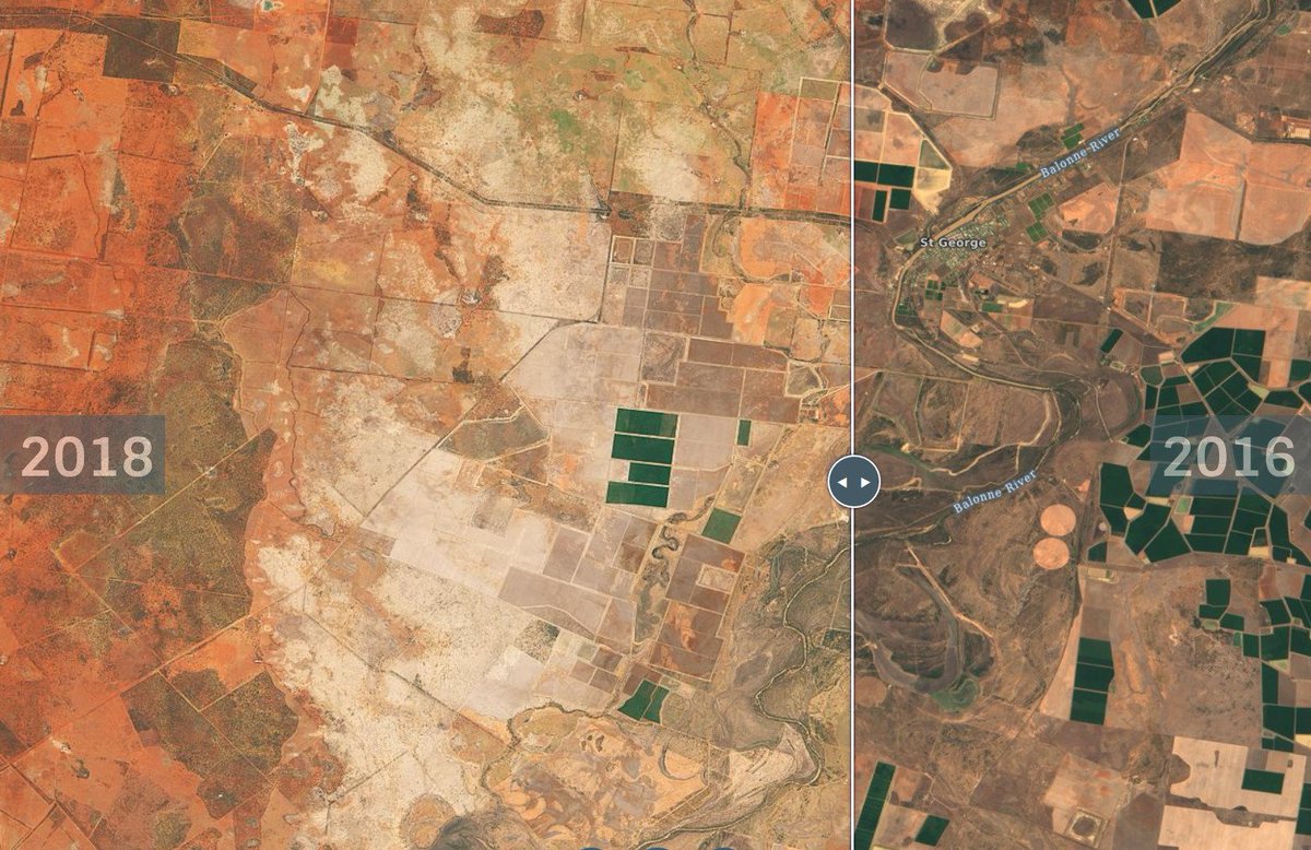 Here's Kia Ora's cotton crop in 2015-16 (left) and 2017-18 (right). The property has other water rights; it does not (did not*) rely entirely on 'flood plain harvested' water.(* You'd hope the past tense applies.)(Via:  https://s2maps.eu/ )