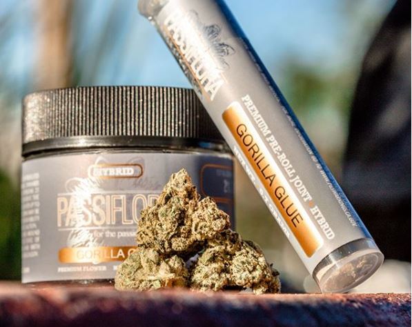 dccollective420's tweet photo. Gorilla Glue is known for its deep relaxation and heavy euphoric effects.

Now delivered straight to your door. Learn more on our @Weedmaps page. 🚚💨

#ThursdayThoughts #DCDelivers #Delivery #MedicalMarijuana #RecreationalMarijuana #Legal #Weed #Delivered https://t.co/w7nMI7W7K6