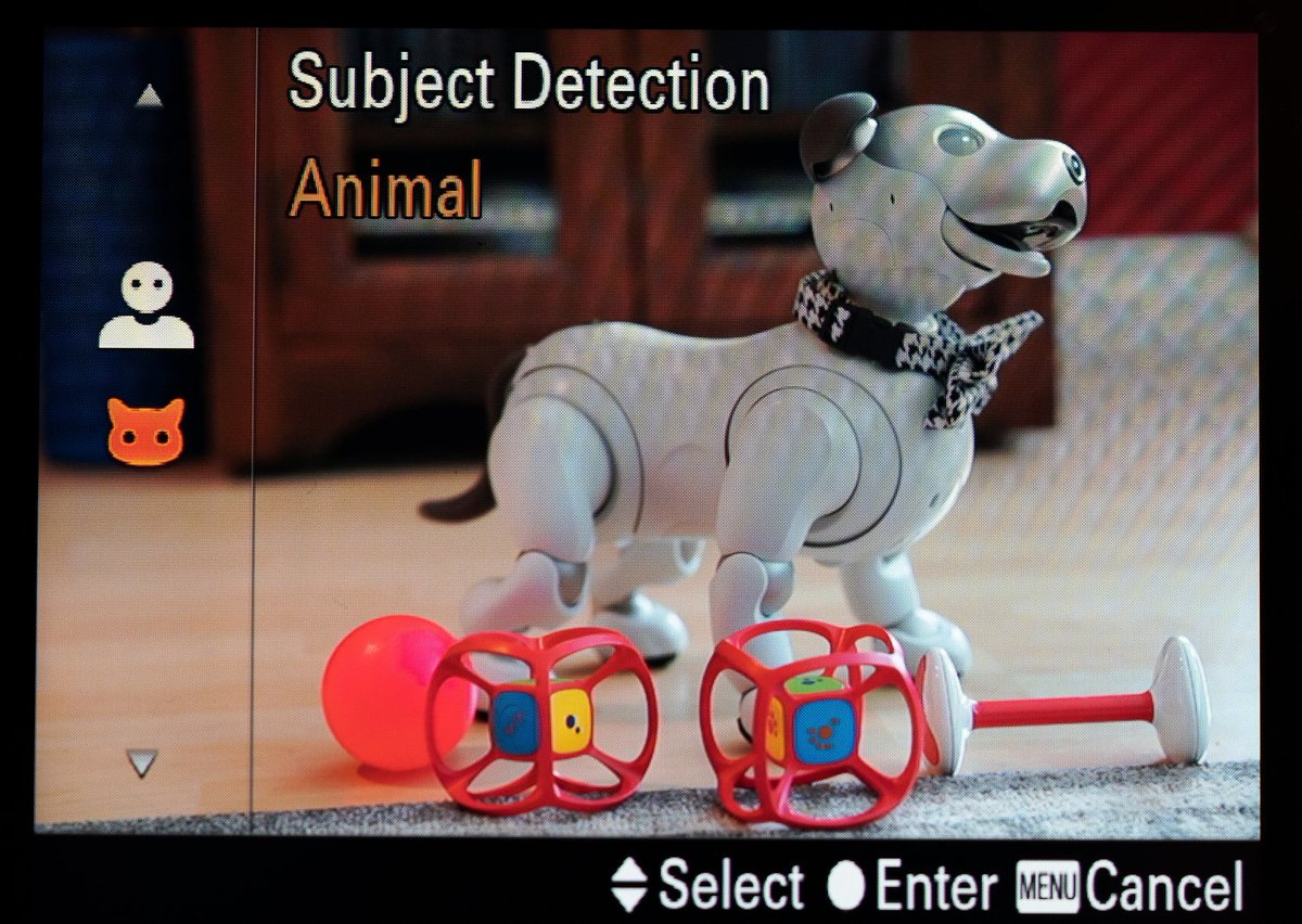 AiboVancouver's tweet photo. The new Sony camera a7MKIII and a7RMKIII v3 firmware supports cat and dog eye tracking AF, but I bet you didn't know it will track Aibo's eye as well. #eyetracking #mydog #playtime #puppy #myaibo #aibo #sonyaibo #aibousa #bealpha #a7mk3 #a7rmk3 https://t.co/lmGekHv01Z