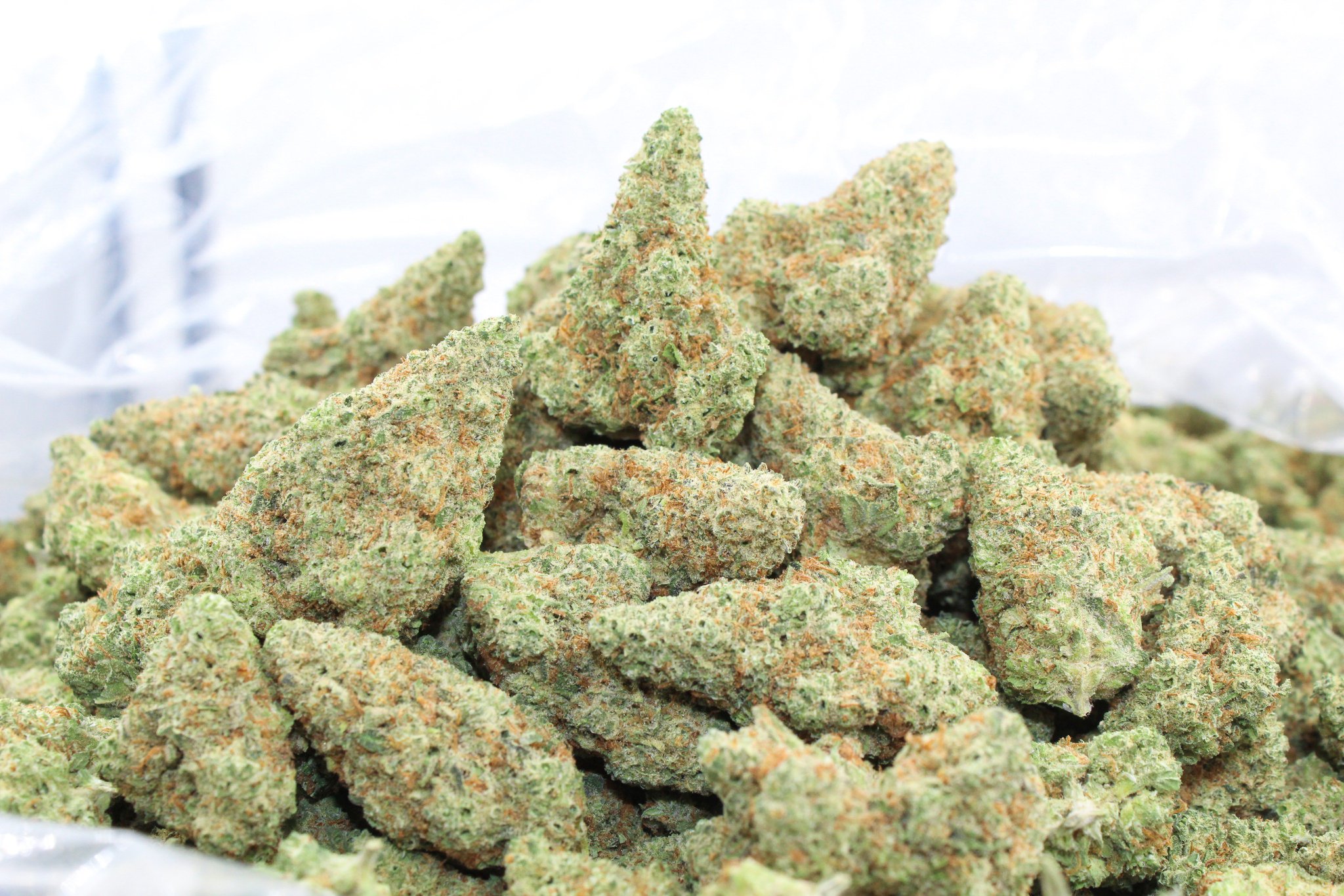 theorywellness on Twitter "Who's ready for the return of this High