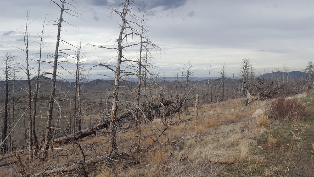 Michelle Agne tweet media