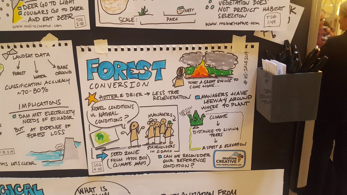 Michelle Agne tweet media