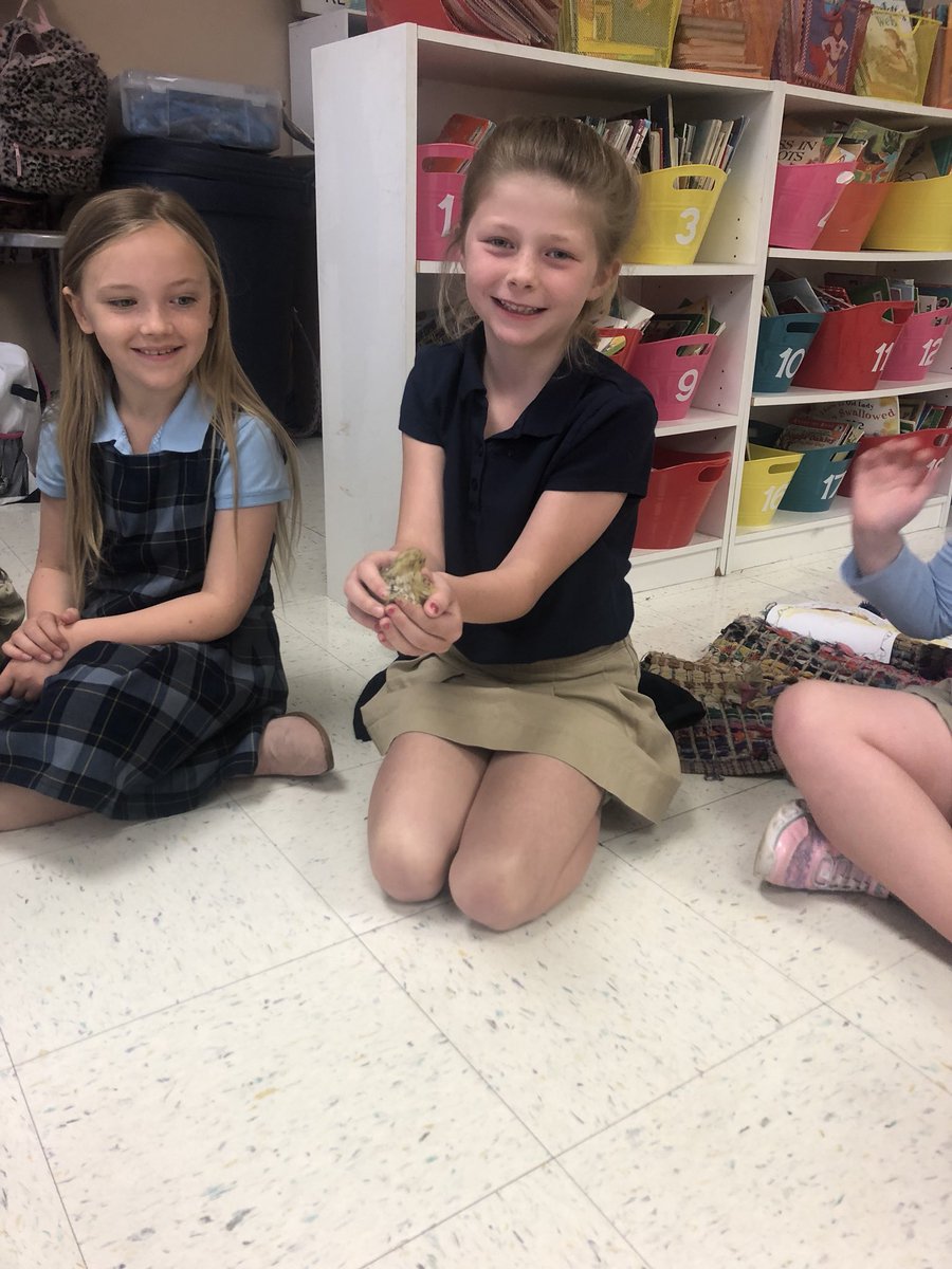 msdrury11's tweet photo. We have extra special visitors in our classroom this week: quail babies! ❤️ #lovewhatIC https://t.co/7rF2xsmYdr