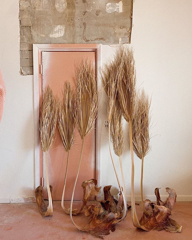 The Pink Door
Arizona, 2019 bit.ly/2UwbeBD