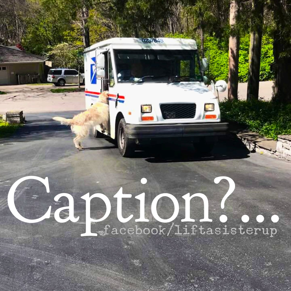 LiftASisterUp's tweet photo. Caption?.... Dog gets bad rap?...Puppy makes peace?
#liftAbrotherUP #liftAsisterUP #snailmaillove #richardsandersonisadoll #oldfashioned #puppylove #dogsofinstagram #dogjob #usps #dogwhisperer ❤ @cesarmillan https://t.co/ppTpOfzzQF