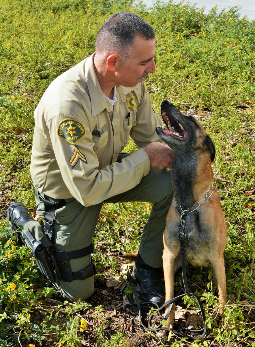 LASDHQ's tweet photo. #NationalPetDay #LASD K-9's
Our pets are important to us, and sometimes the friends we enjoy at home are our partners and protectors at work. These types of partners are the best partners to have. https://t.co/PZOmxMZtbs