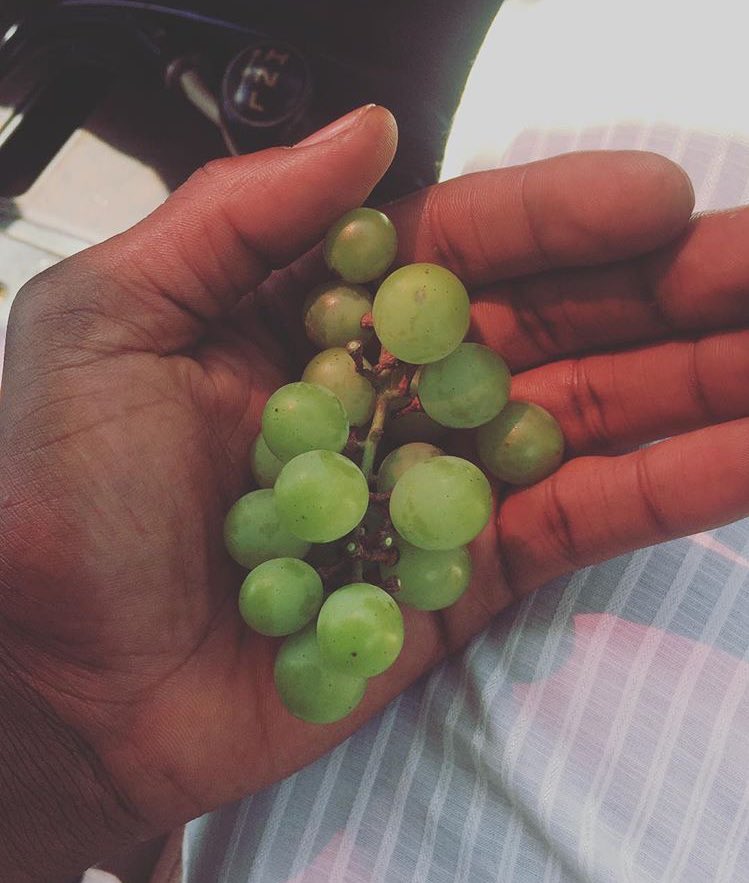 Umrisa Farms and Agro-allied Solutions tweet media